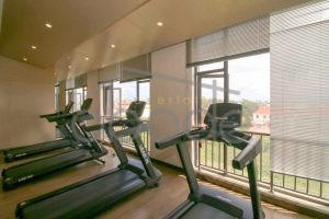 apartment for rent Sen Sok SSD2