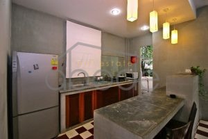 apartment for rent Bassac Lane central phnom Penh TLBP13