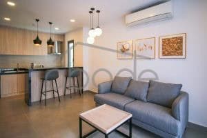 Luxury 1 bedroom apartment for rent Russian Market